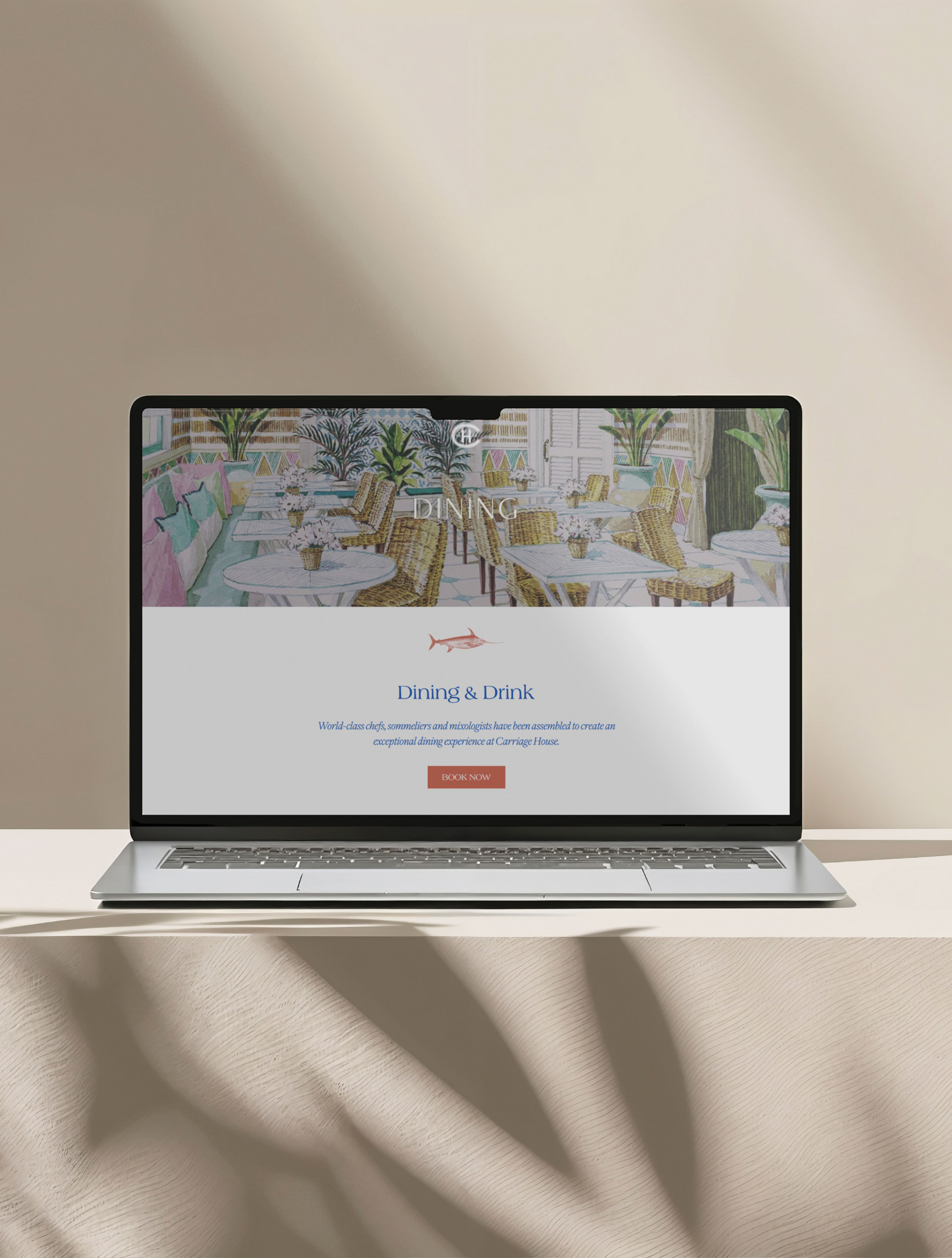 Website Development Image